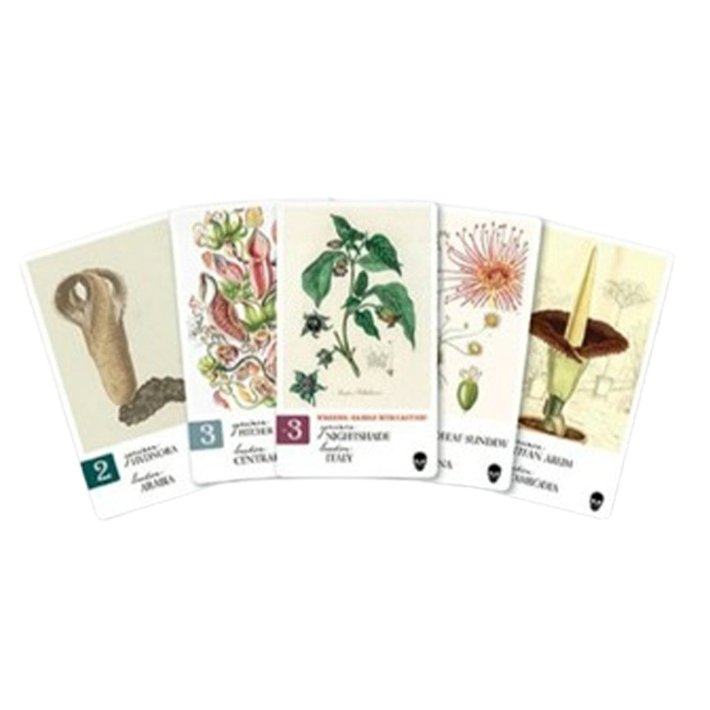 Botany Perilous Perfumes Expansion