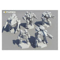BattleTech RPG Clan Heavy Star