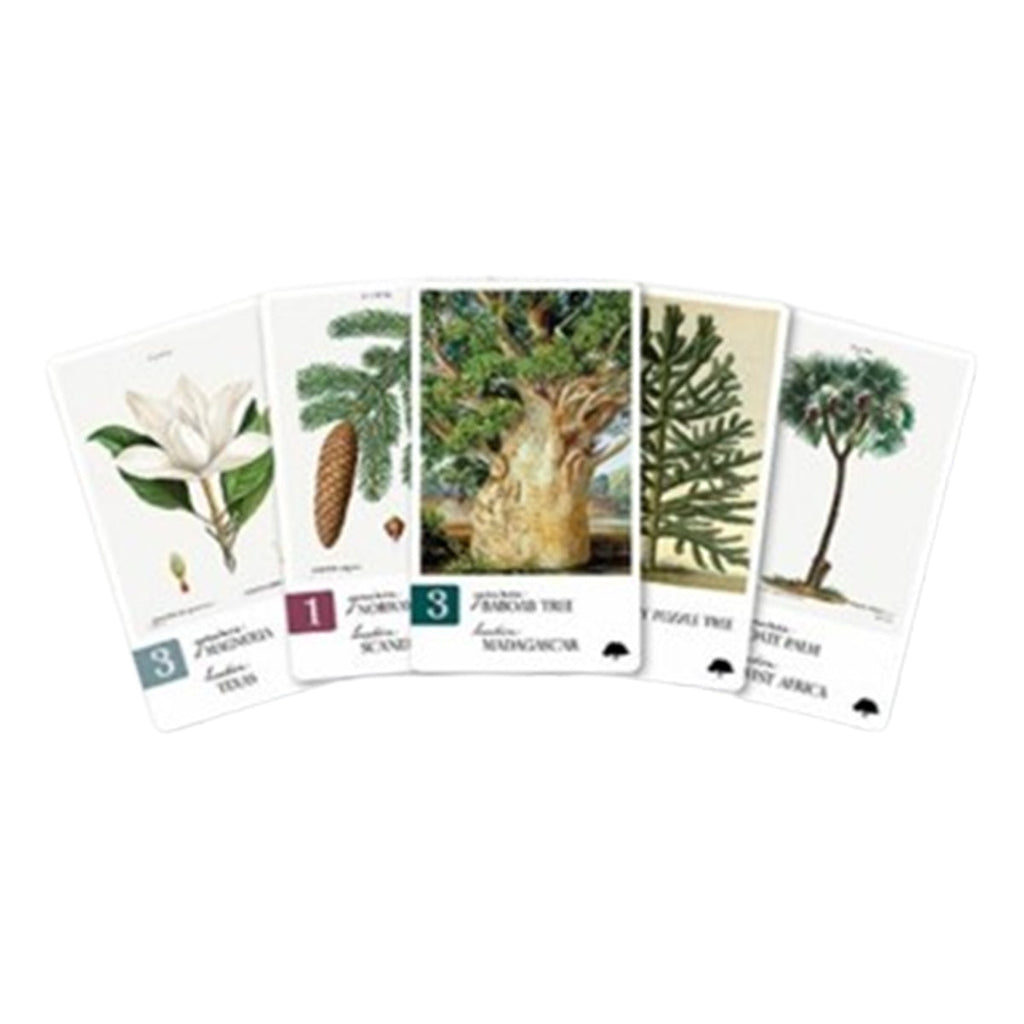 Botany Tantalizing Trees Expansion