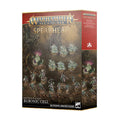 Warhammer Age of Sigmar Spearhead Maggotkin of Nurgle Bubonic Cell